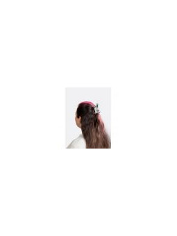 Pince à cheveux pigeon
