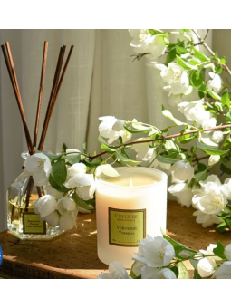 Scented Candle Mandarin & Yuzu
