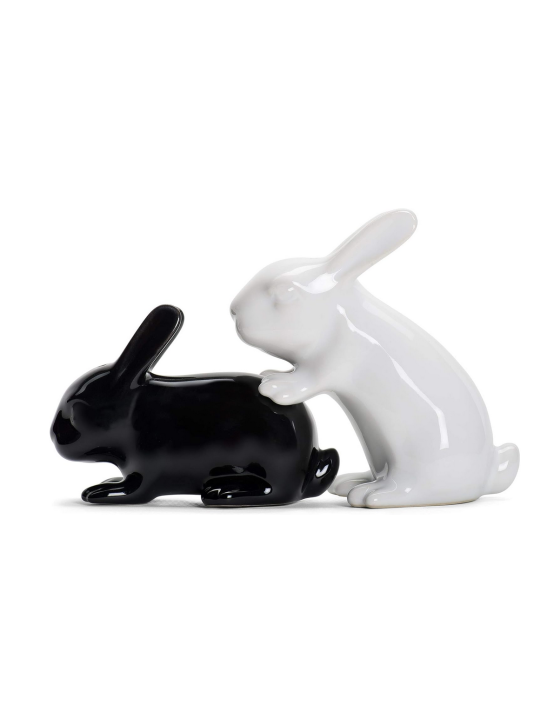 Salt and Pepper Rabbits