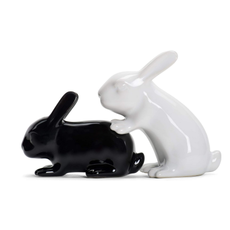 Salt and Pepper Rabbits