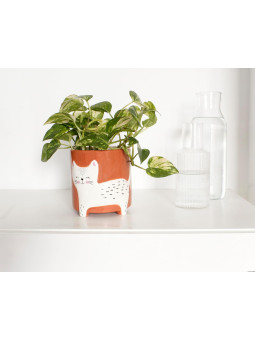Vase à plantes chat