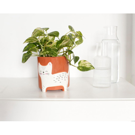 Vase à plantes chat