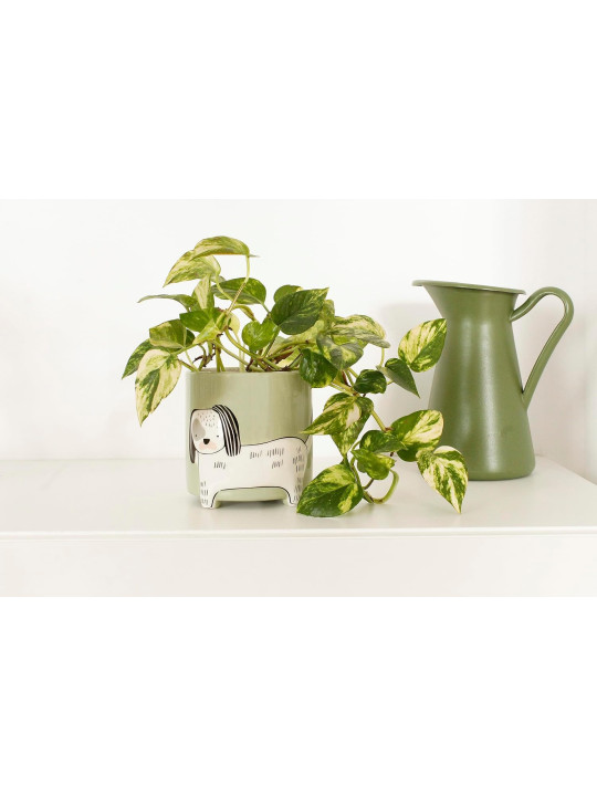 Vase à plantes chien