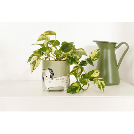 Dog Plant Vase