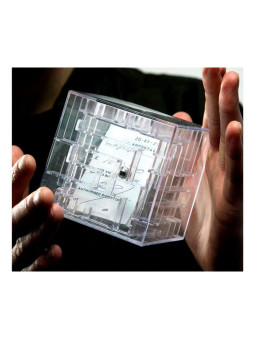 Maze Money Box