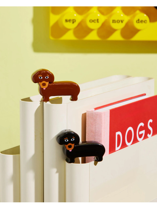 Salt and Pepper Dachshund