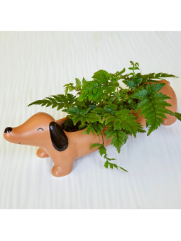 Daisy The Dachshund Planter