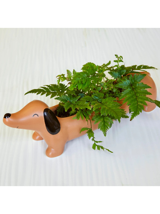 Daisy The Dachshund Planter