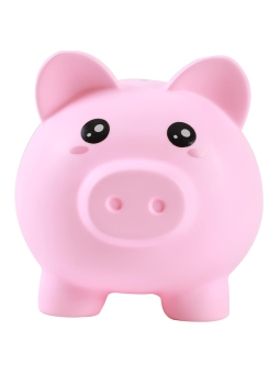 Tirelire Cochon